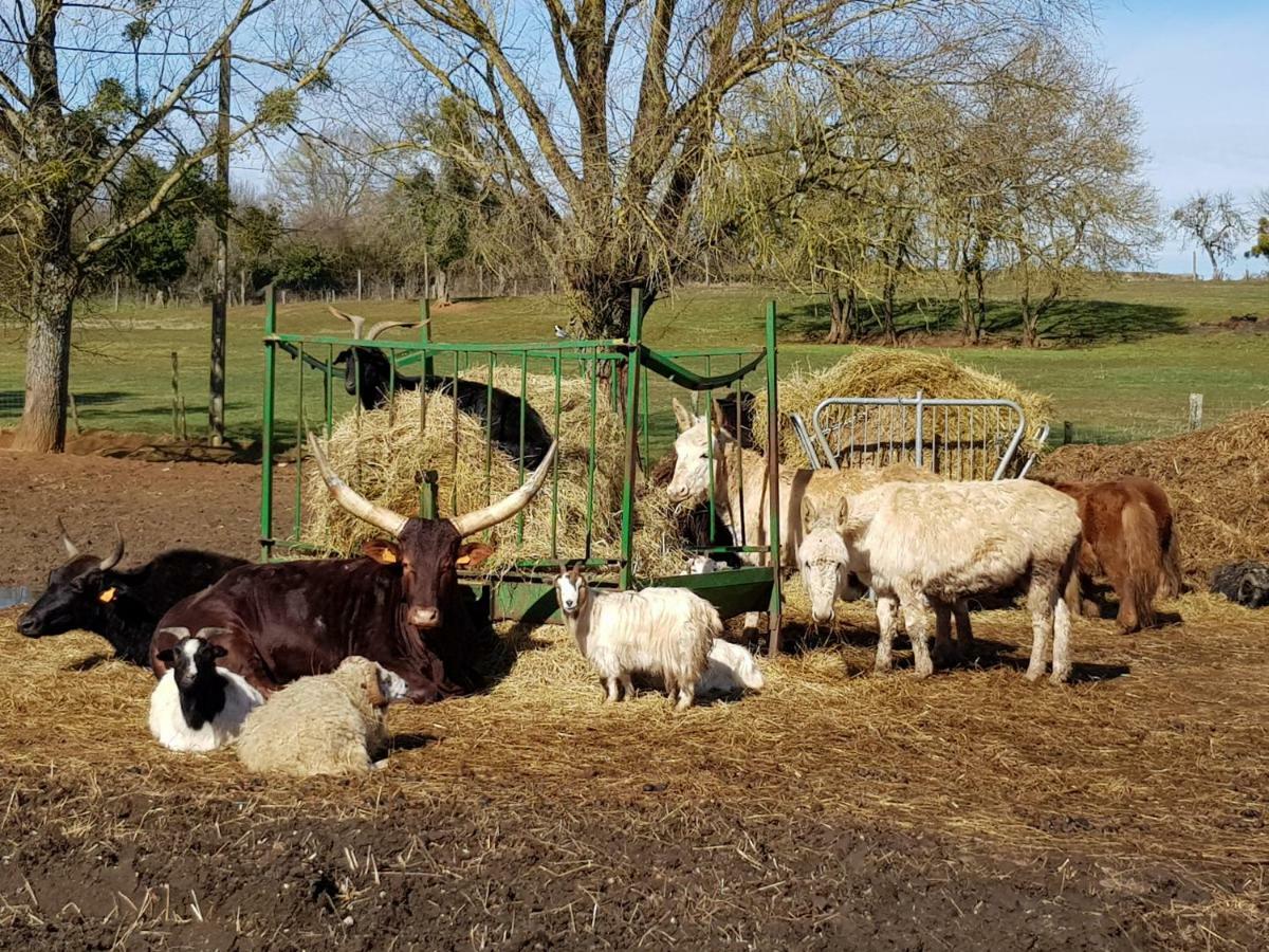 La Ferme Aux Kangourous Donzy Eksteriør billede